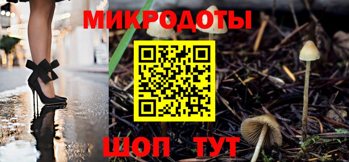 Галлюциногенные грибы Psilocybine cubensis Кировск