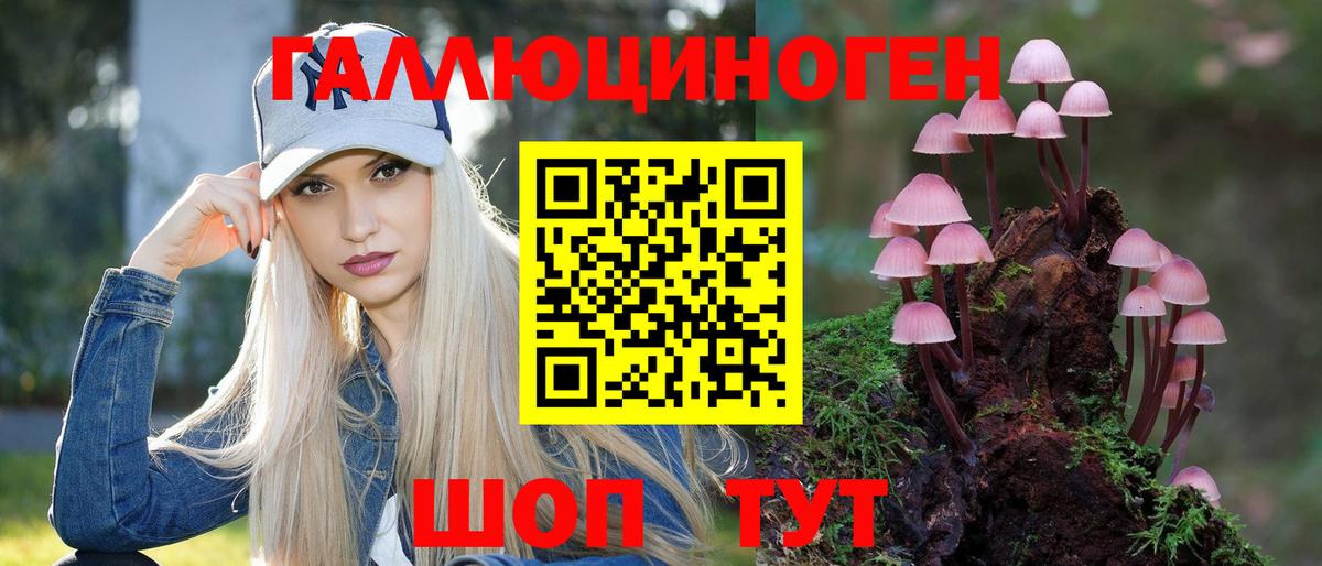 Галлюциногенные грибы мицелий  Галлюциногенные грибы Psilocybine cubensis  Кировск  цена наркотик  Вход с VPN 